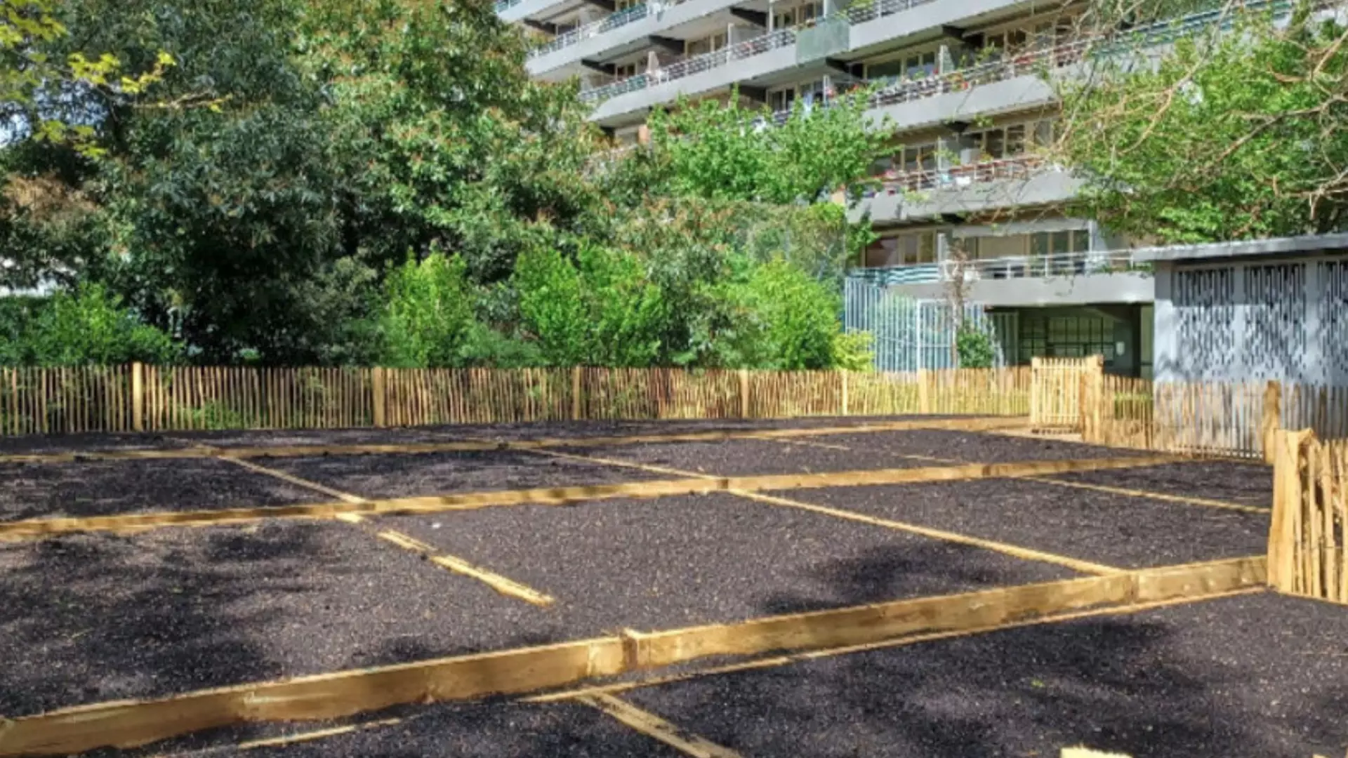 Les Carottes Sauvages : un site pensé pour générer des leads, et une équipe autonome